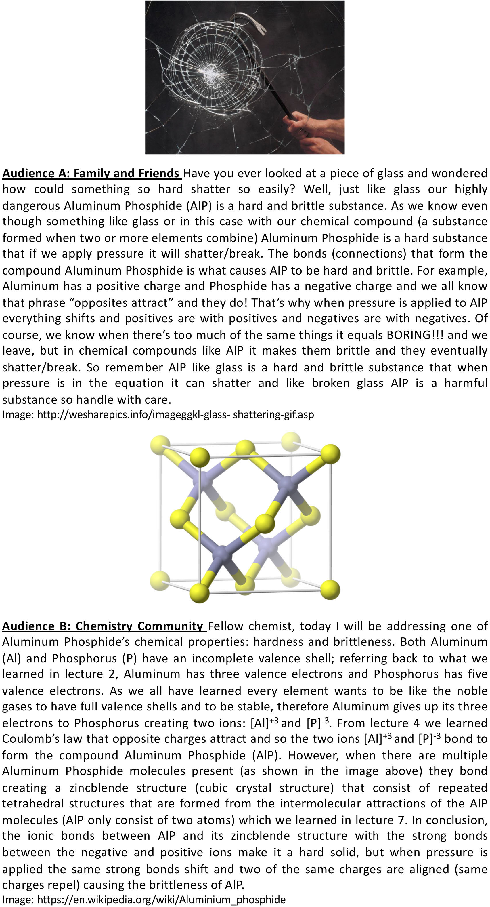 Figure 4. Sample student work for a Communicating Science assignment. 