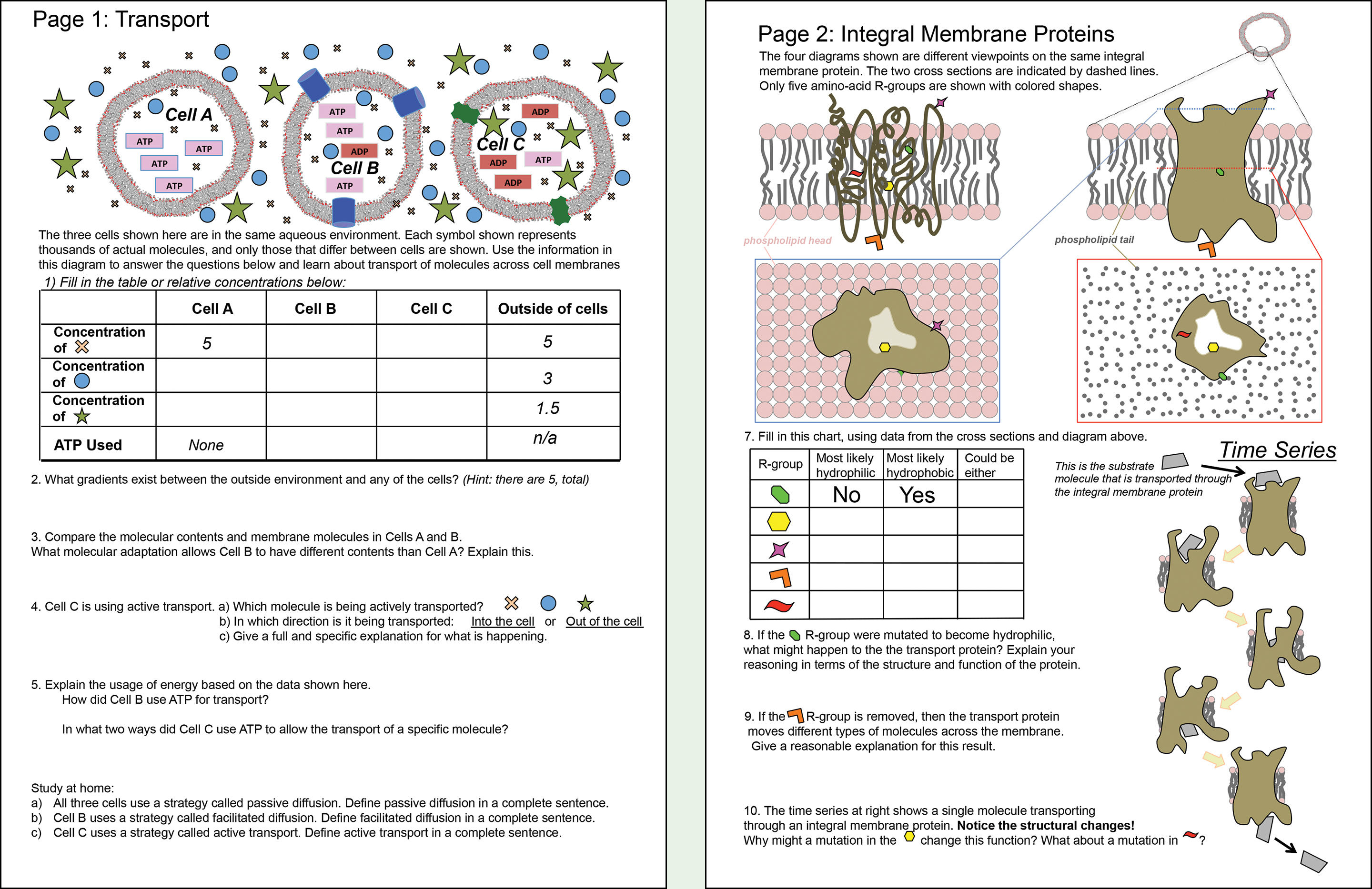 “High-complexity” version of the in-class worksheet.