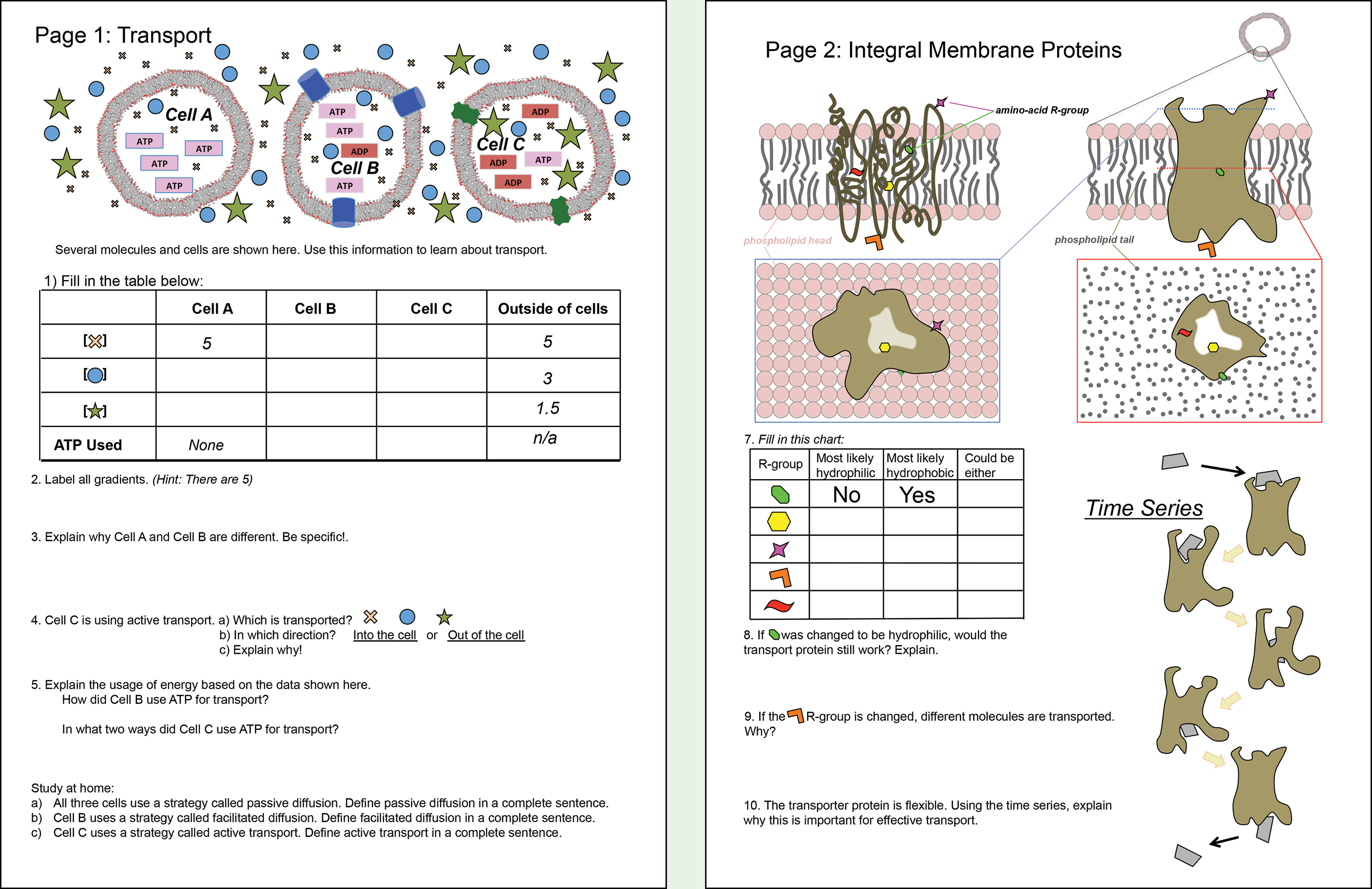 “Low-complexity” version of the in-class worksheet.