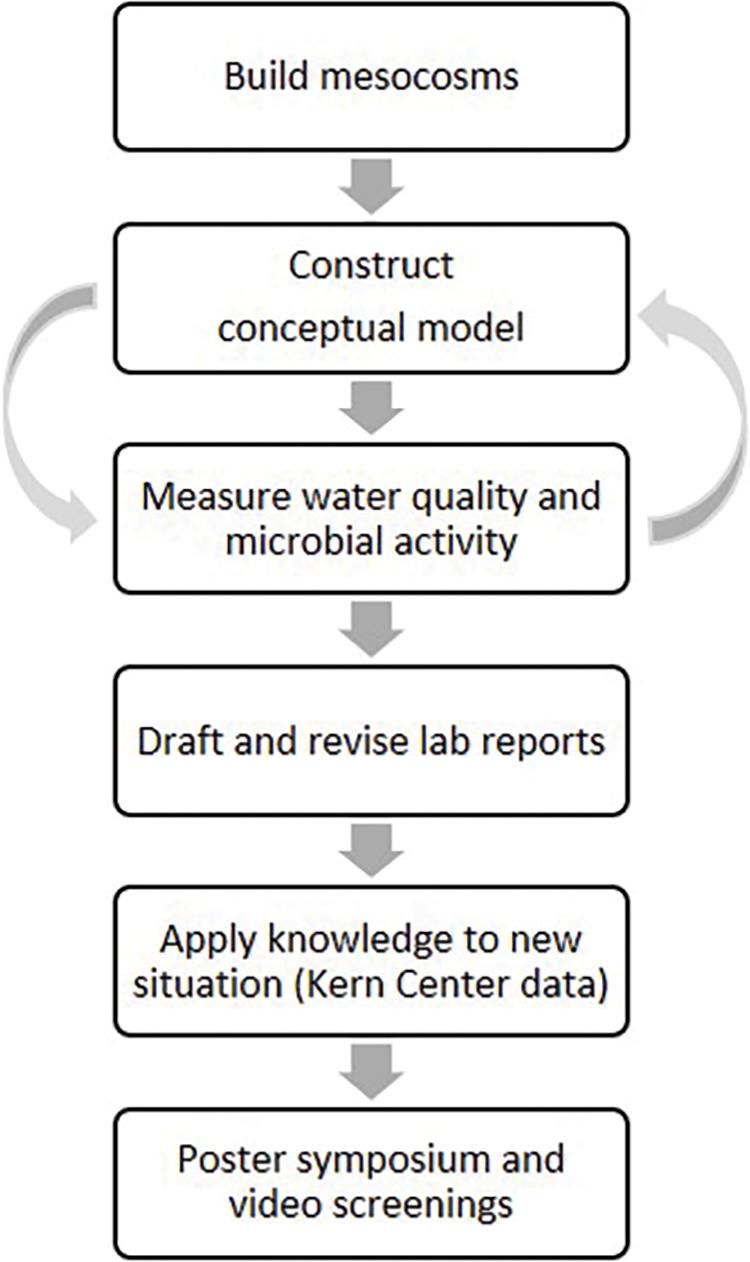 Workflow for the interdisciplinary labs throughout the semester.