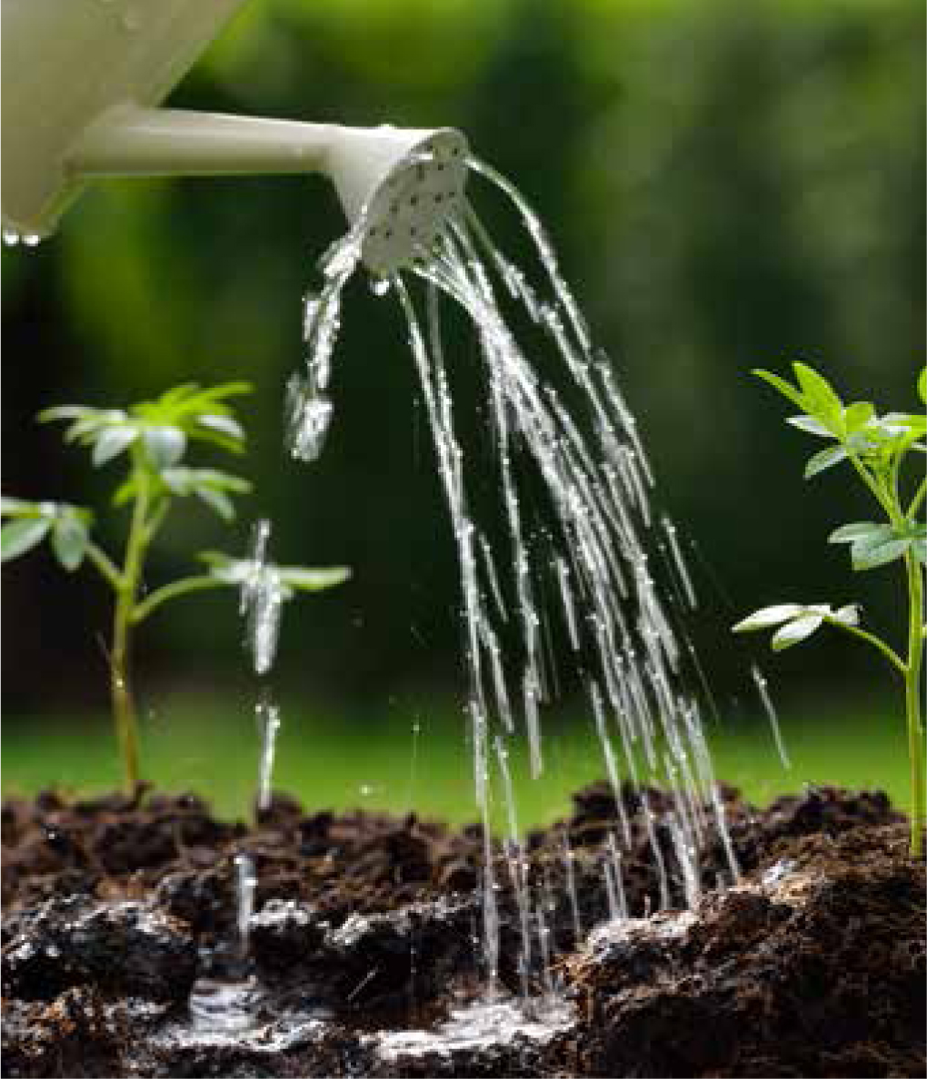 Watering Can