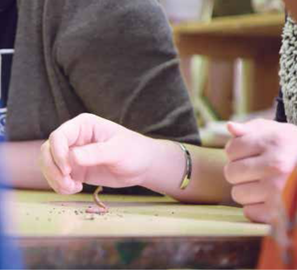 Students were entranced by the worms’ movements.