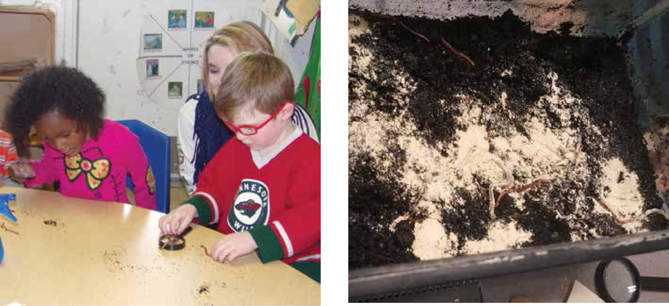 Students became more comfortable with handling worms with practice (left); a worm habitat (right).