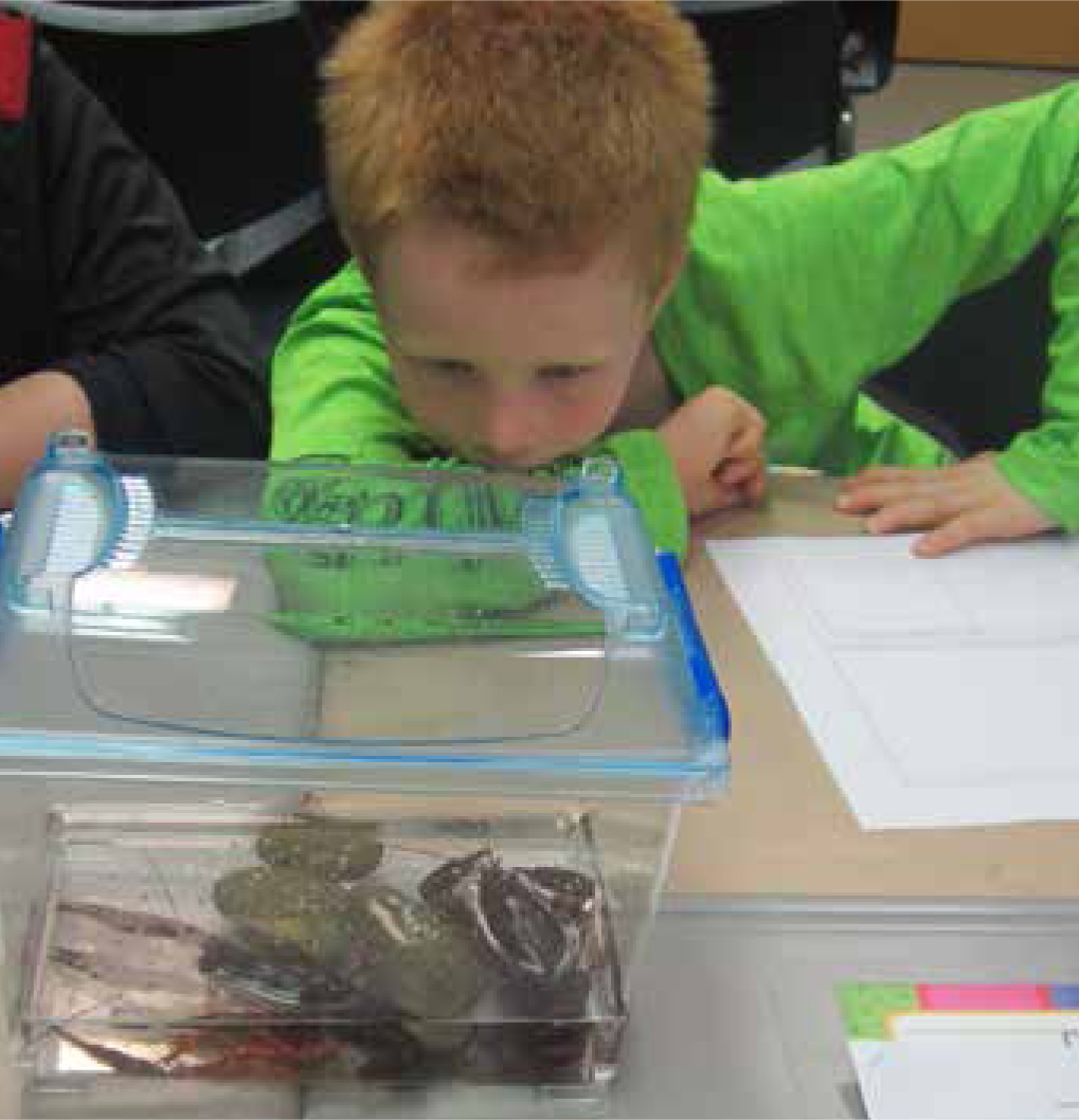 A student gets a close-up view of a crayfish