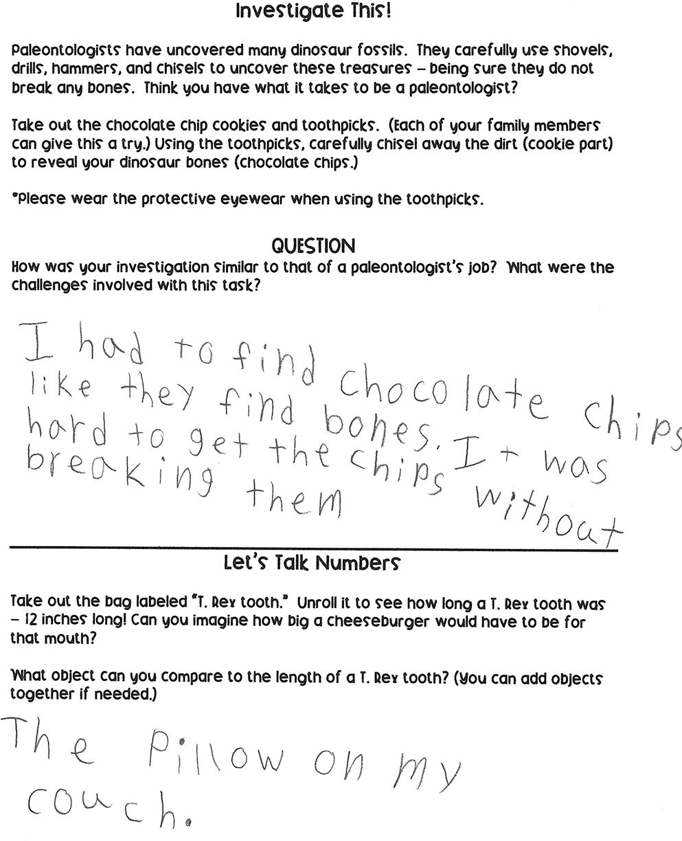 Investigation worksheet.