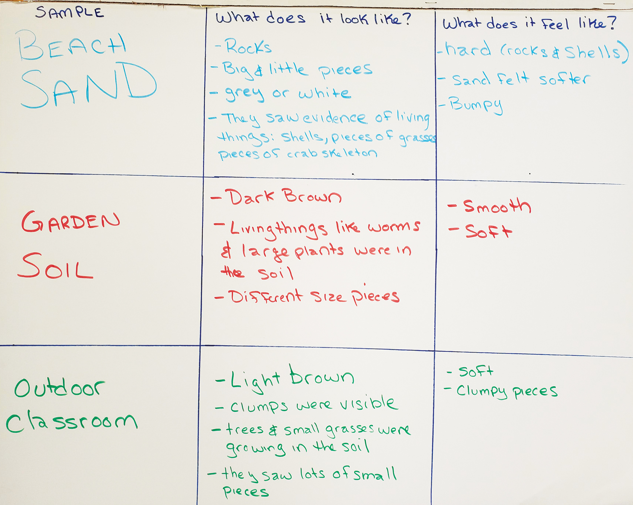 Class observation chart.