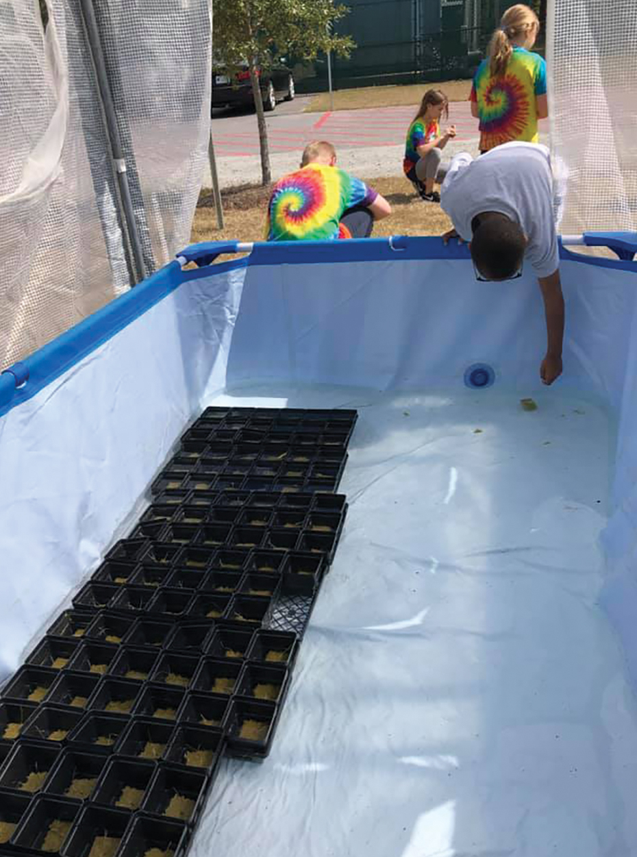 Students deposit seedlings in a greenhouse (left) and make signs supporting keeping the marsh clean (above).