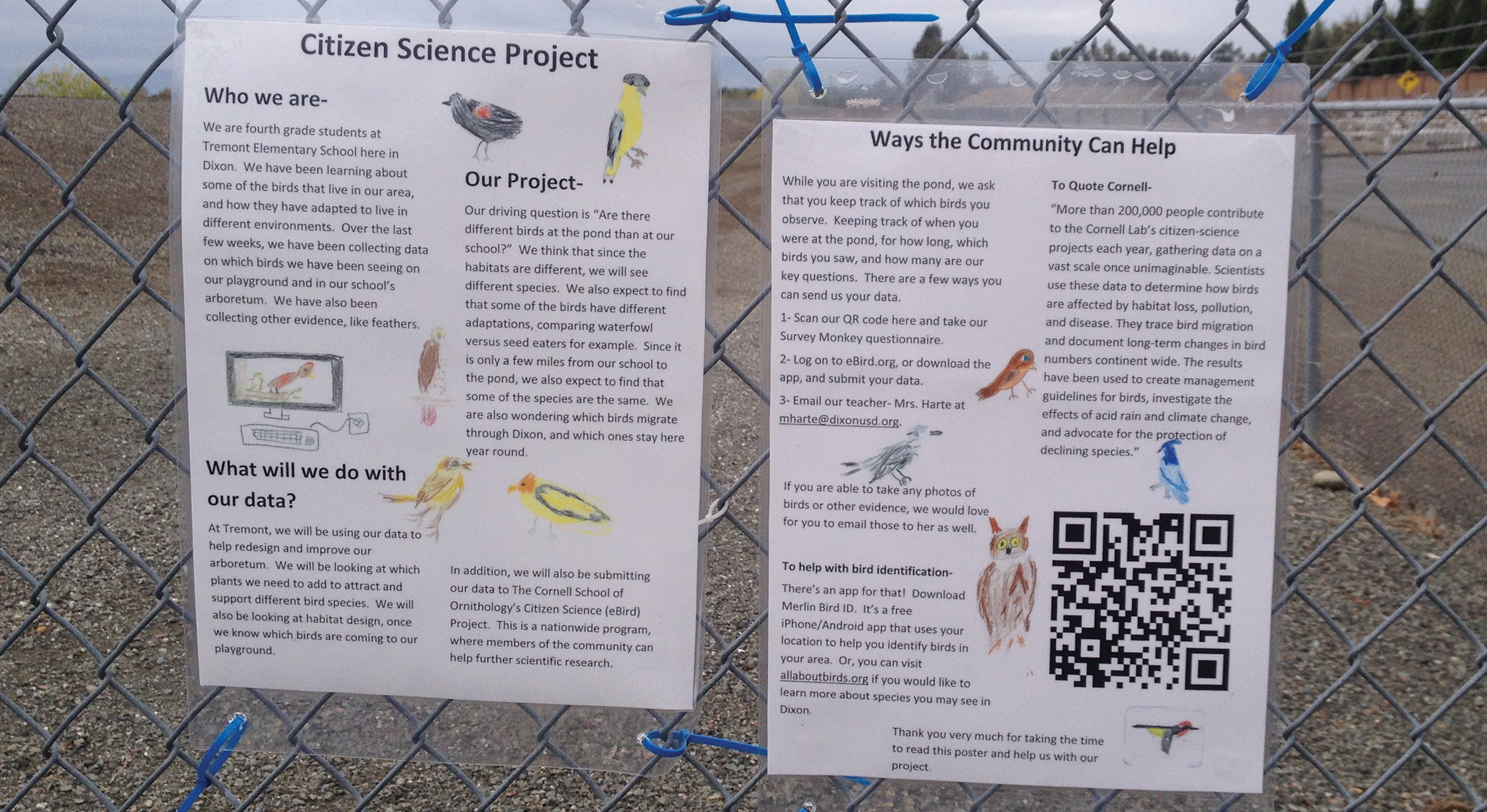 Students reached out to the community for help submitting data on bird sightings.