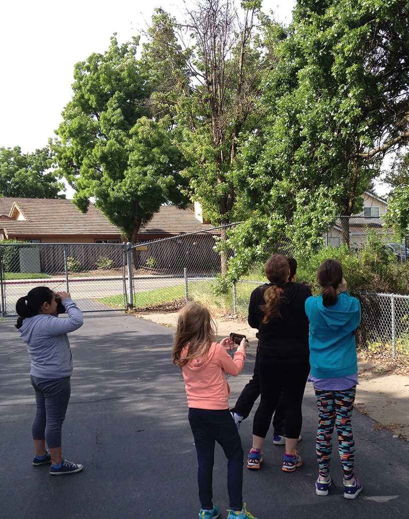 Students observe birds on campus.