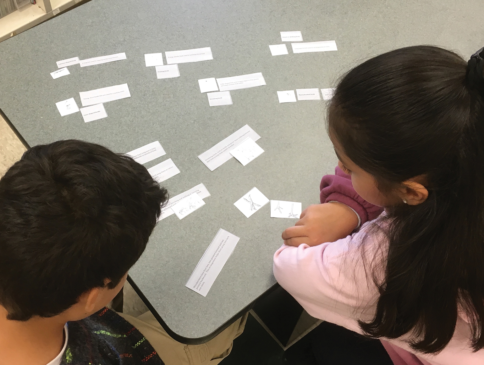 Students participate in a matching game.