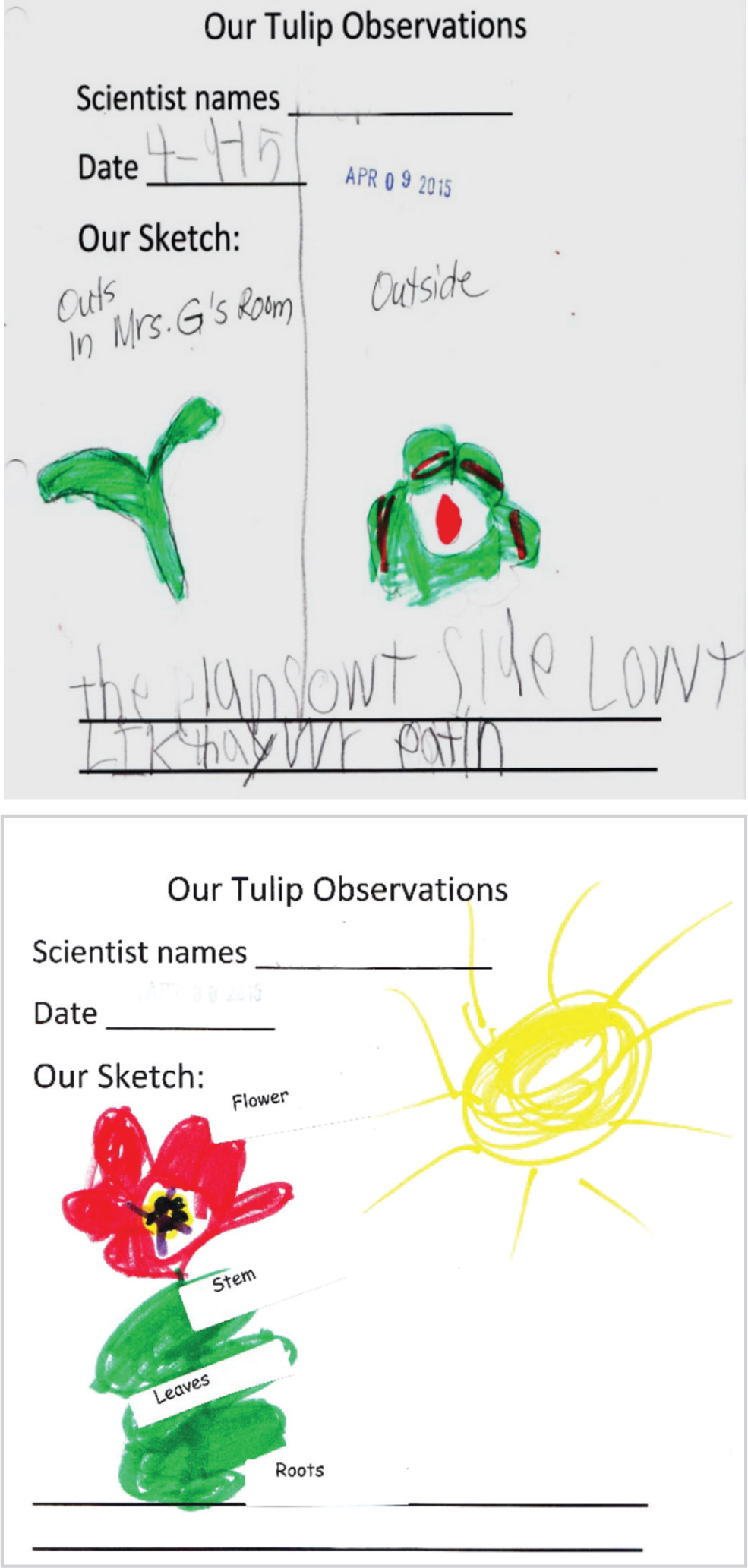 Examples of student observations.