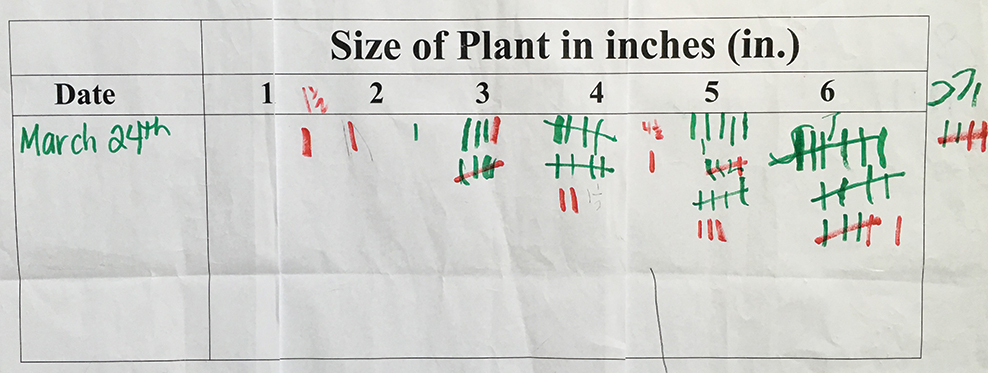 Class tally chart.