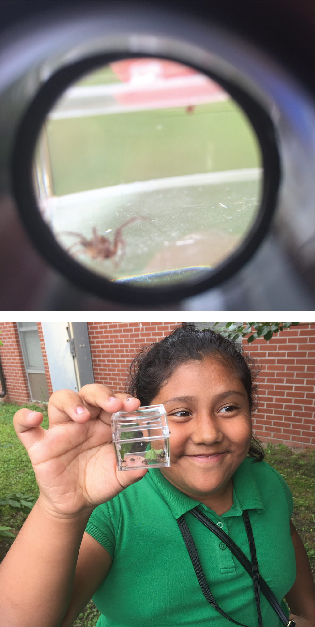 A spider viewed through a loupe (top) and a student excitedly shares her specimen (bottom).