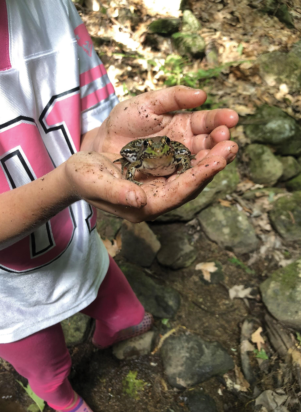 Student holding a green frog.
