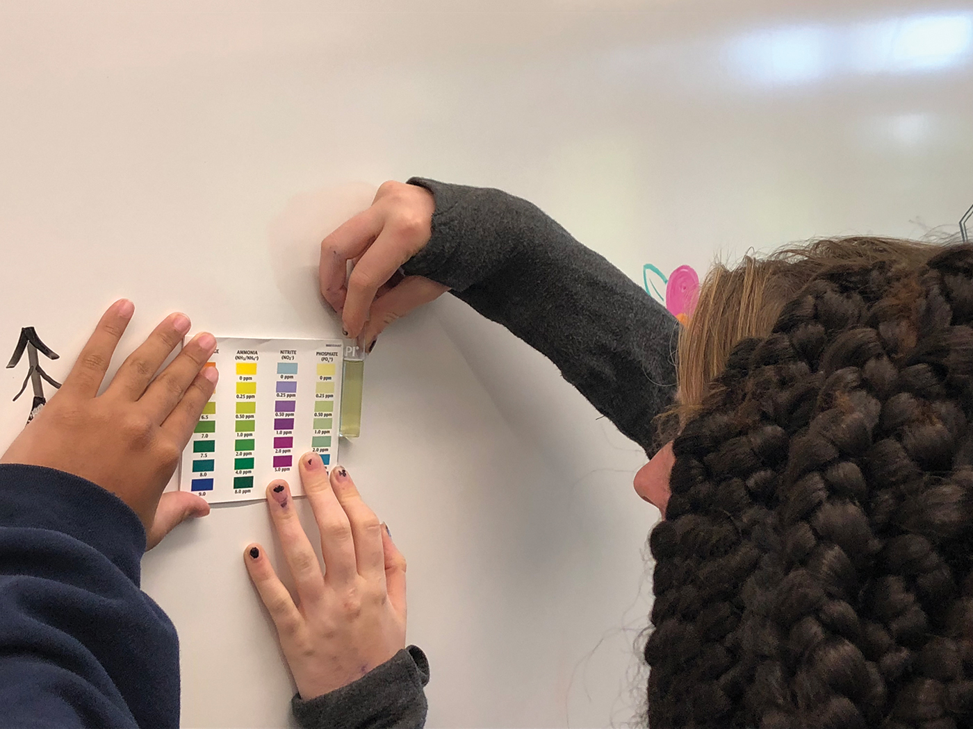 Comparing results with a test chart.