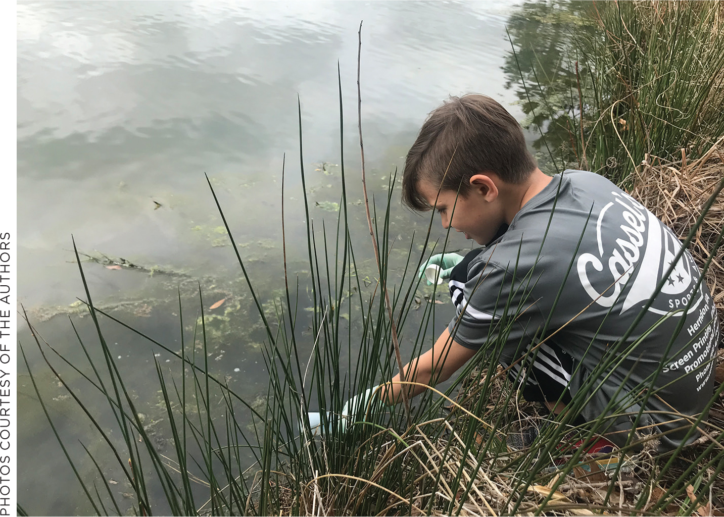 A student collects a water sample (chaperone out of frame!).
