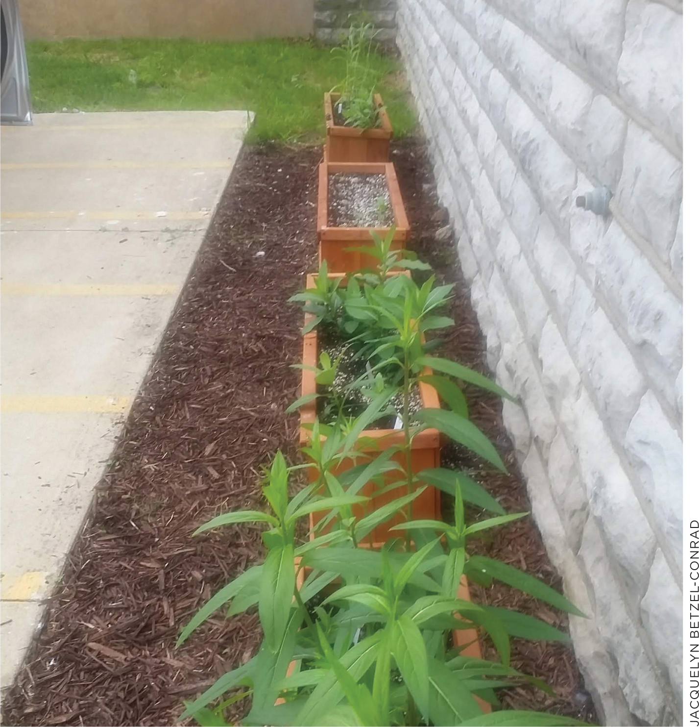 Having a pollinator garden right outside the classroom allows for more frequent data collection.