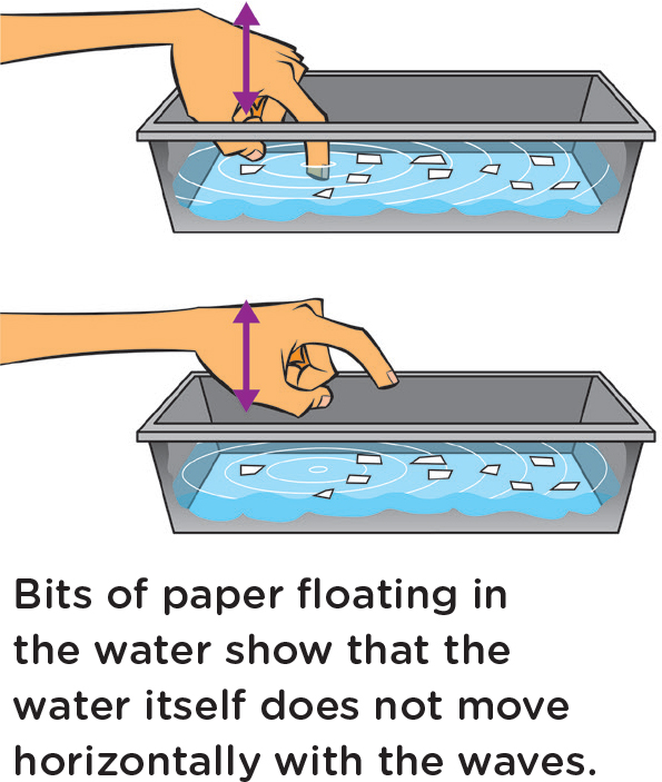 Bits of paper floating in the water show that the water itself does not move horizontally with the waves