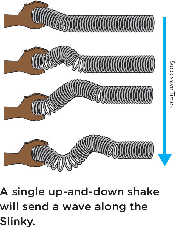 A single up-and-down shake will send a wave along the Slinky.