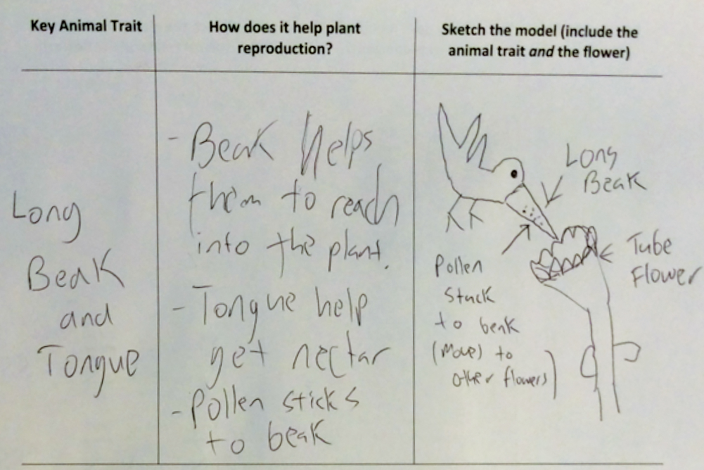 Graphic organizer example.