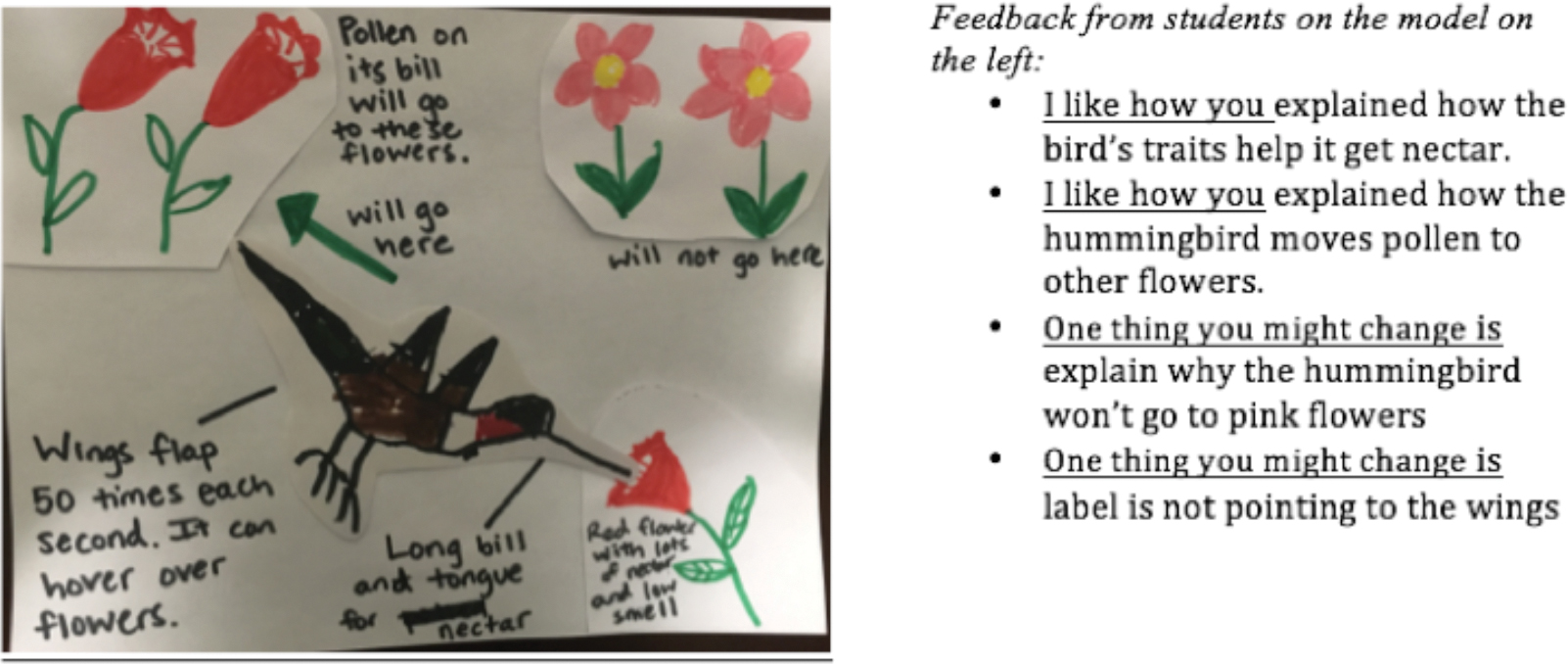 Example model with feedback.