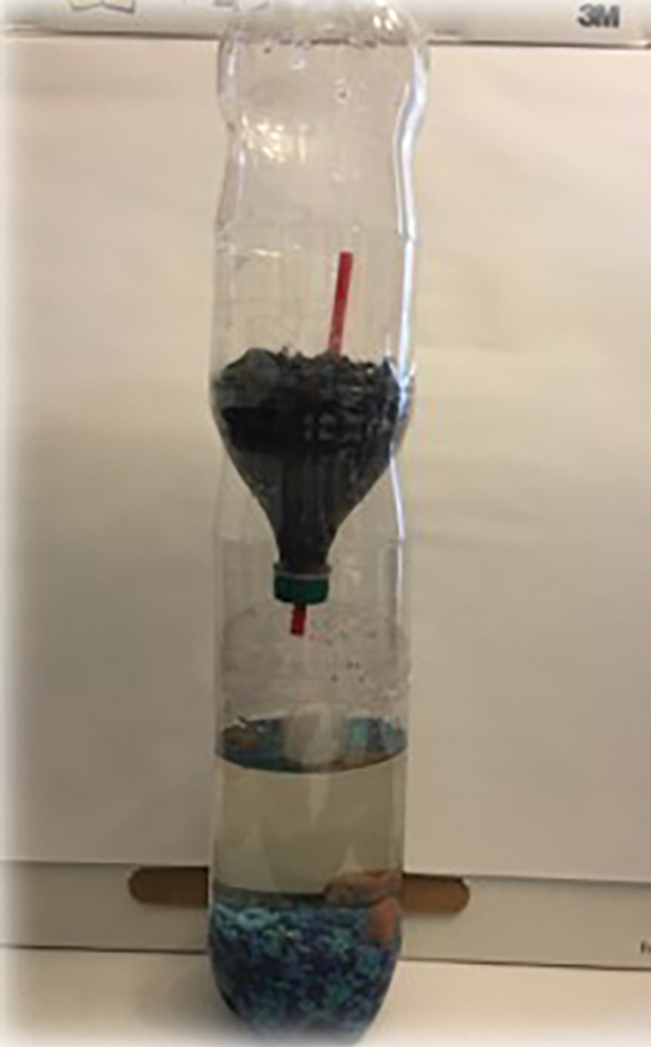 Student’s two-liter bottle ecosystem.
