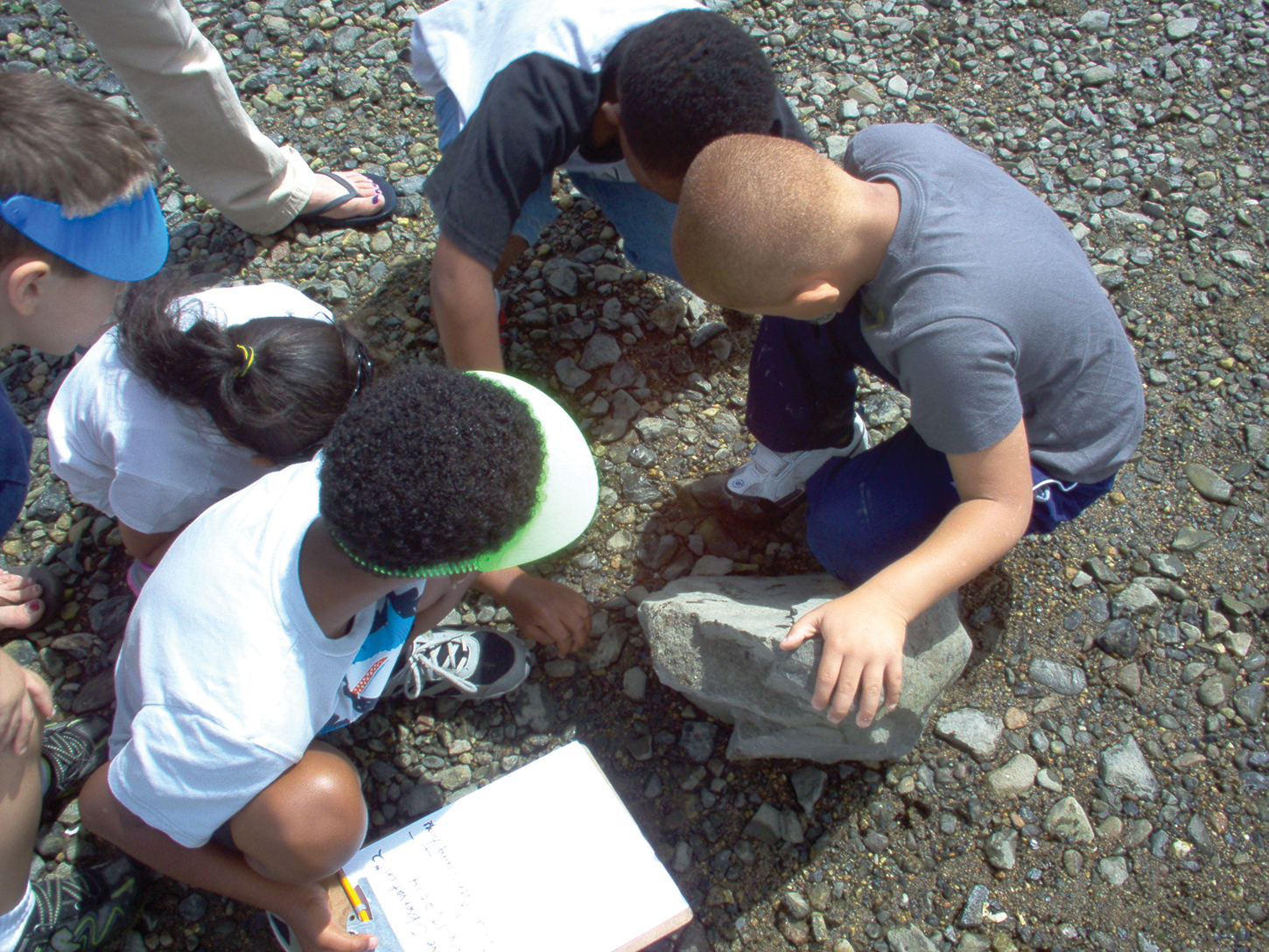 Students make observations at the harbor.