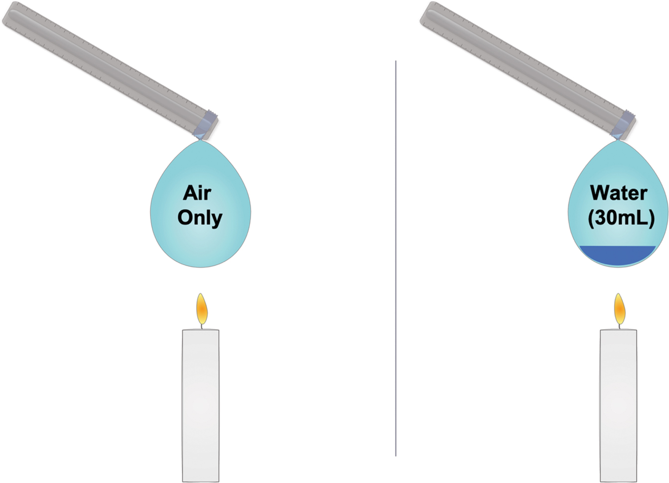 Equal size balloons, one containing only air and one containing 30 ml (1 oz.) of water.