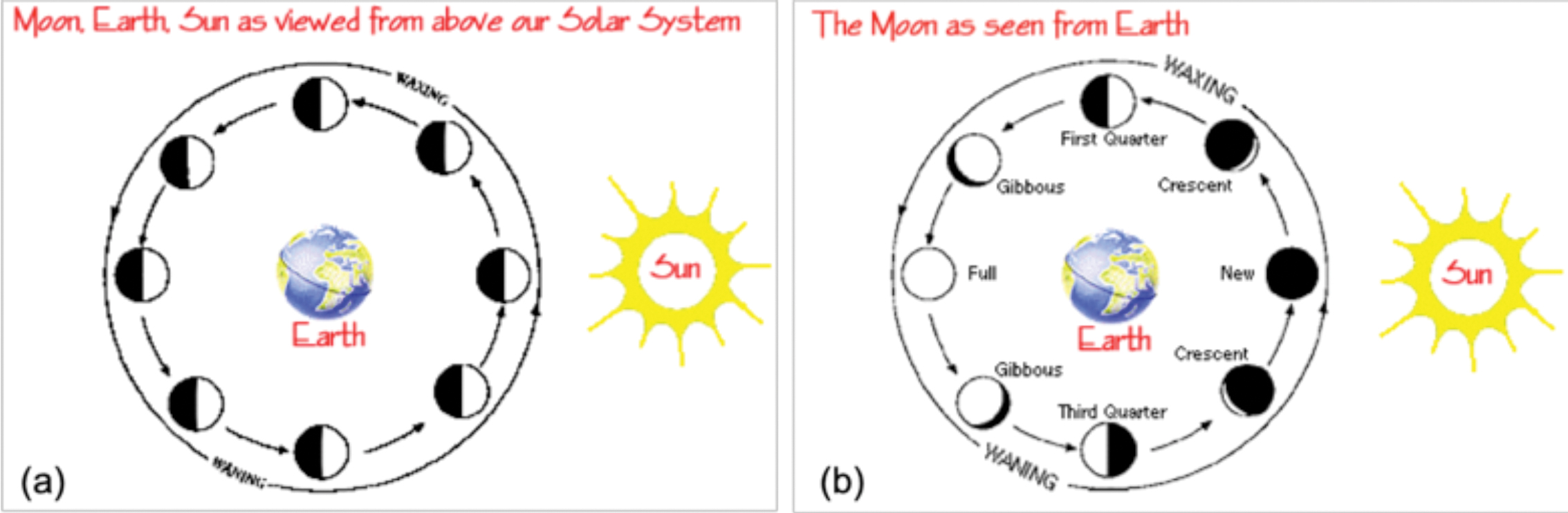 Phases of the moon worksheet for 4th grade