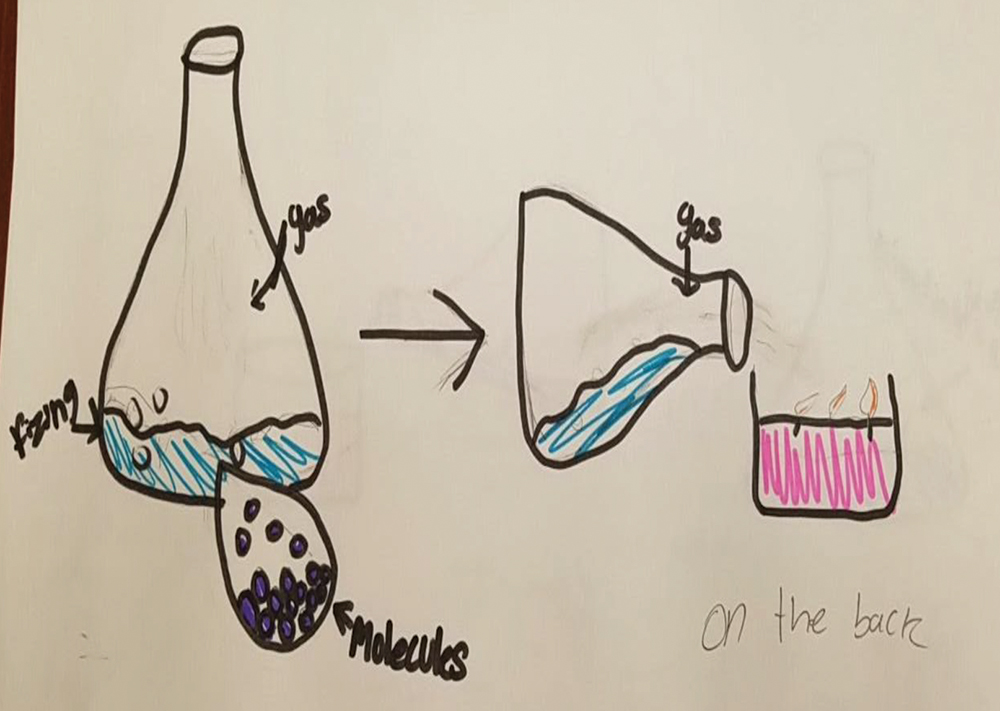 Example of initial student model