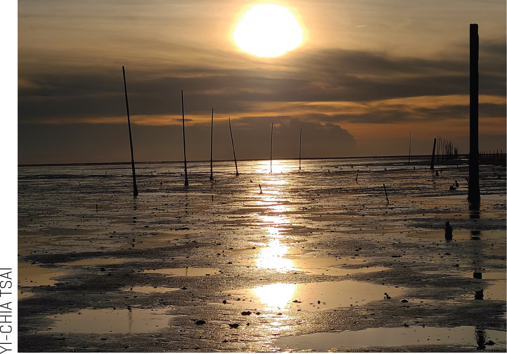 Changhua coastal wetland (photo by Yi-Chia Tsai)