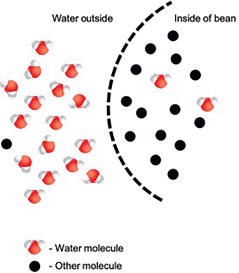 Diagrammatic representation of osmosis