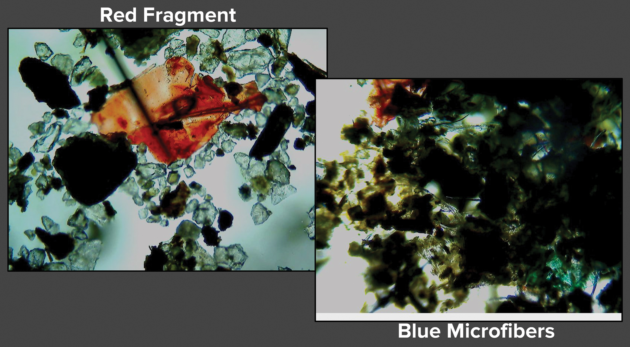 Plastic fragment and microfiber