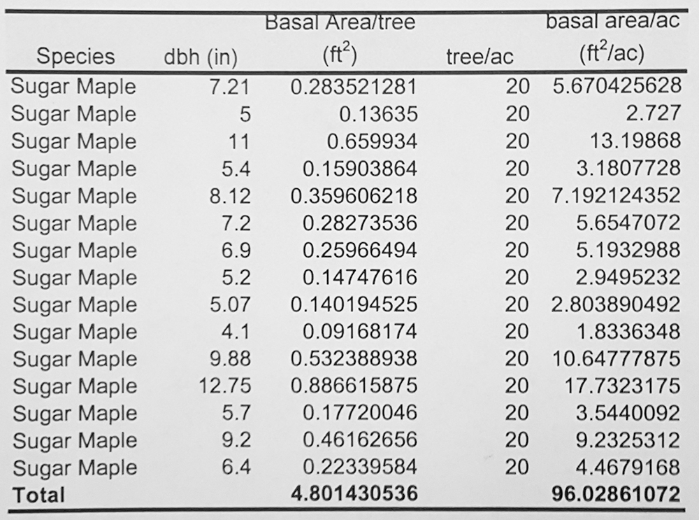 Student basal area summary