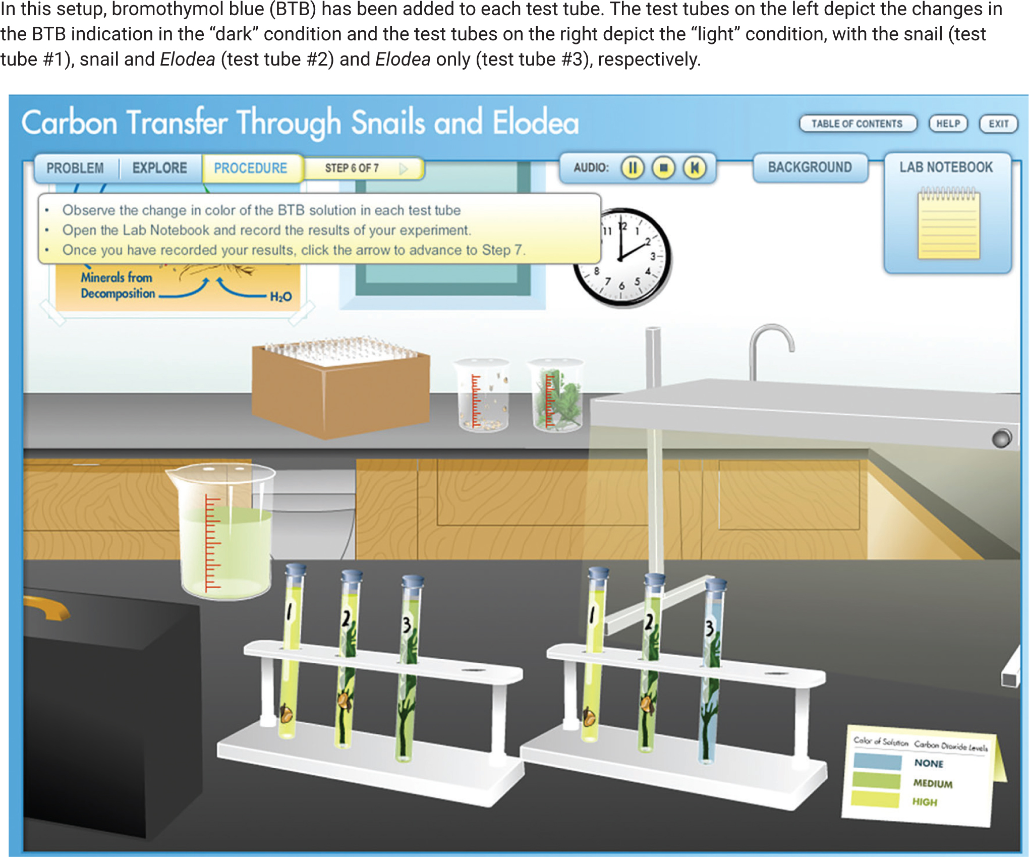 Data from one potential experimental setup.