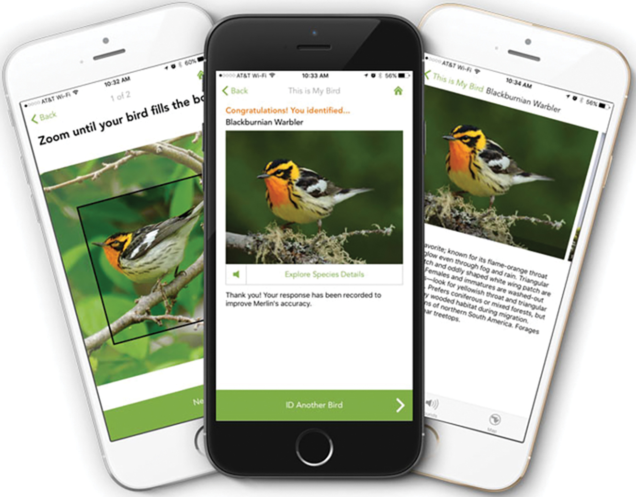 The Cornell Lab of Ornithology provides free mobile apps to help eBird participants submit bird observations anywhere, anytime. The free Merlin ID app is also available to help students with bird identification.