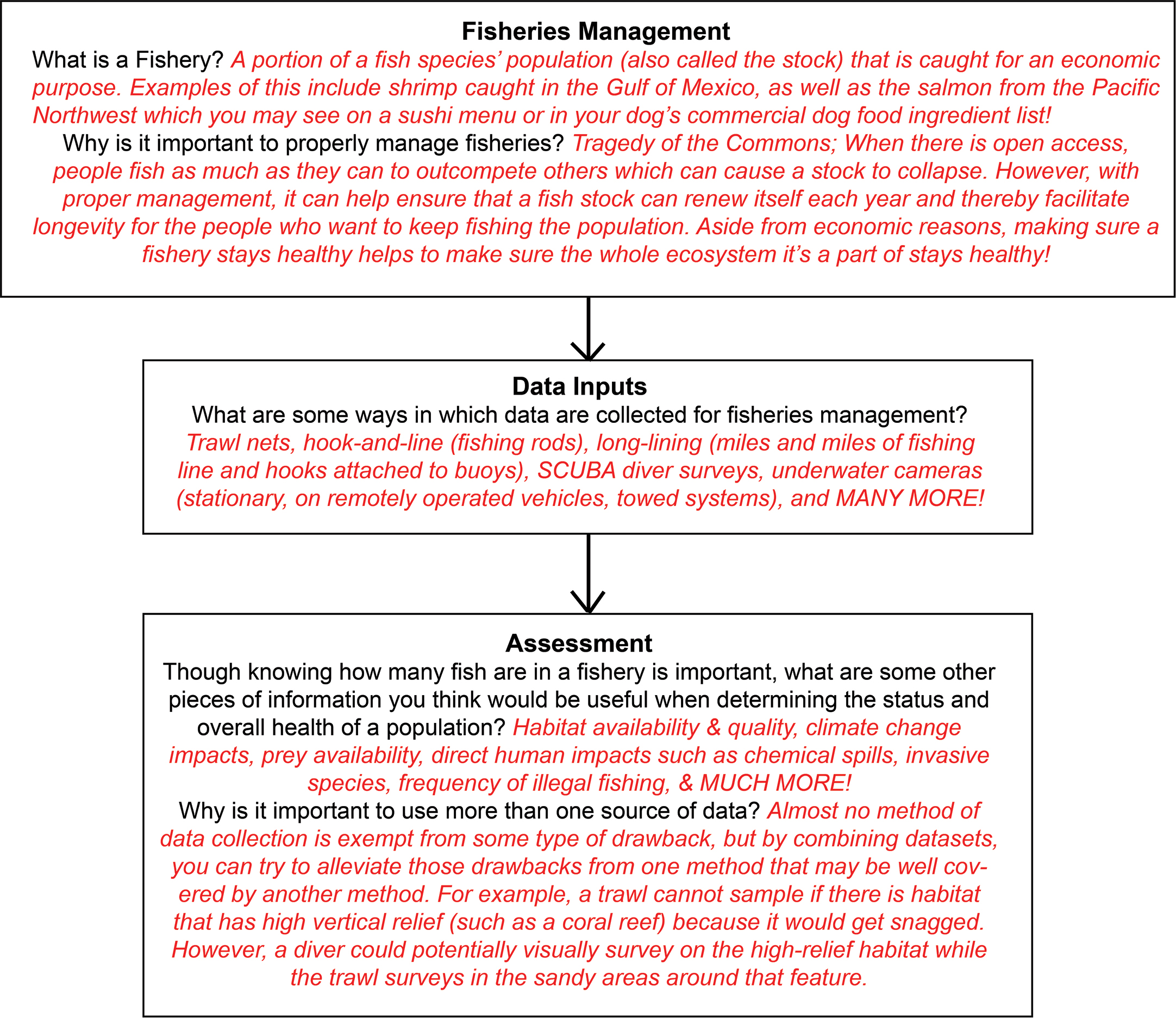 Flow chart to facilitate a short group discussion on fisheries management.