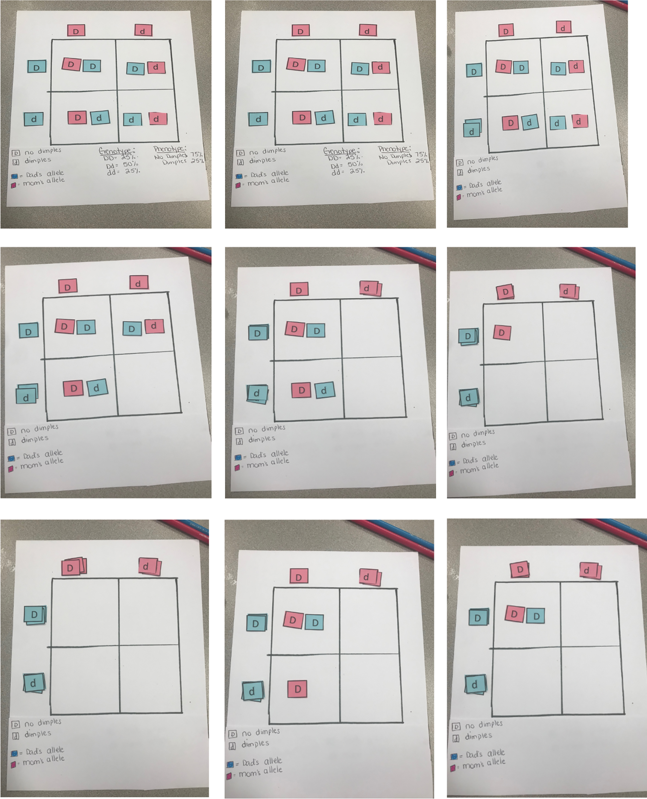 Punnett Squares.