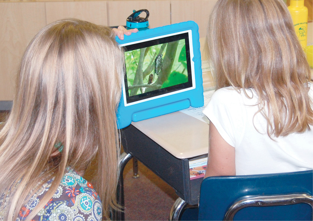 A student conducts research online