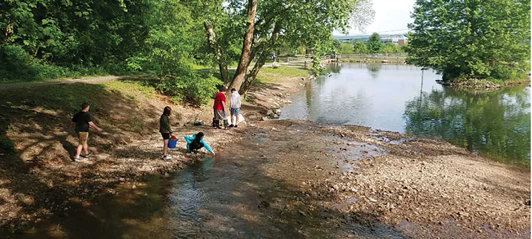 Figure 8 Students measure physical parameters of the stream.