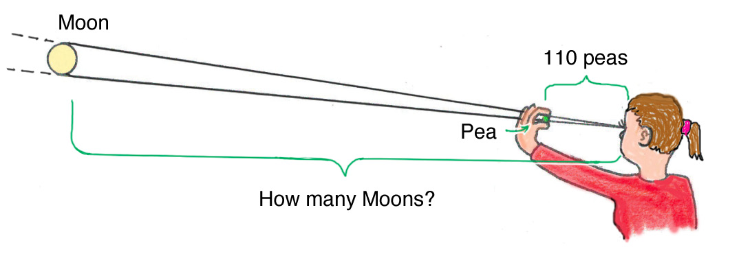 Figure 3 The pea-Moon experiment. 