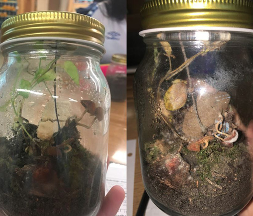 jar before and after flood disturbance