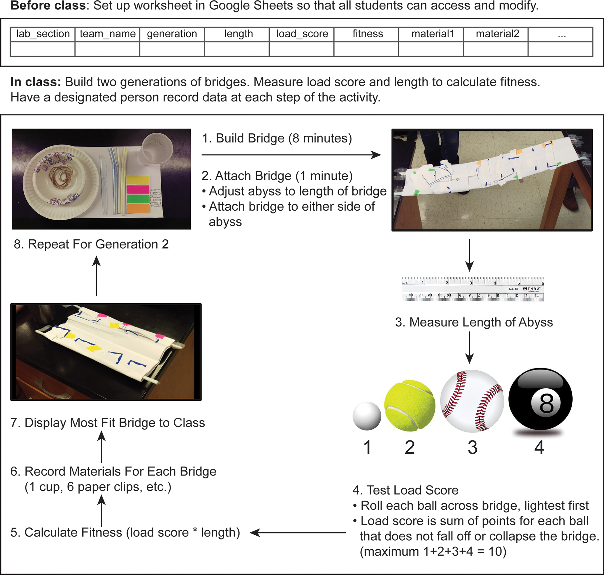 Schematic of Building Bridges activity, detailing how students will construct and test two generations of bridges to gather data for evaluating evolutionary predictions. Instructors may wish to use this as an instructional handout for their classes.