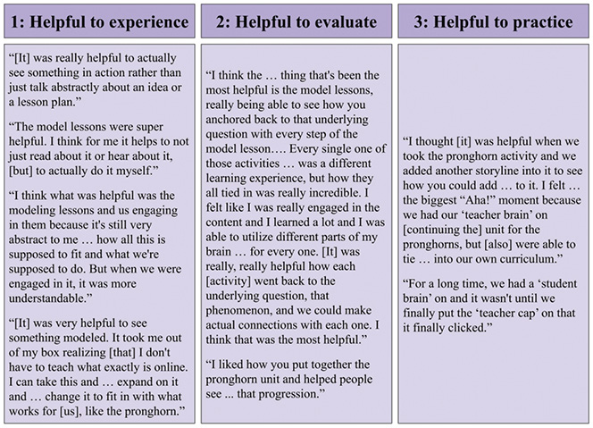 Figure 3 Teacher comments on phenomena. 