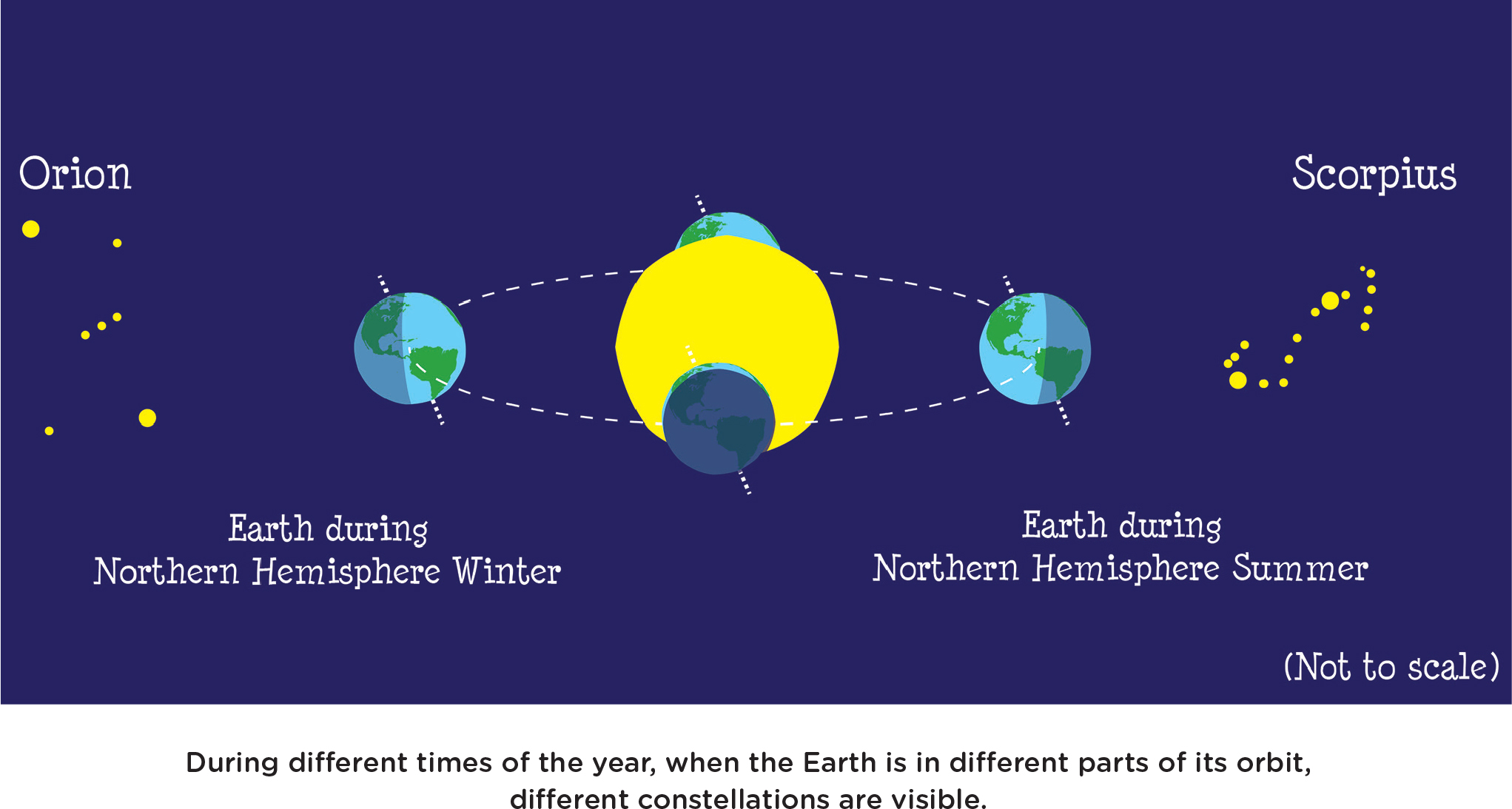 During different times of the year, when the Earth is in different parts of its orbit, different constellations are visible.