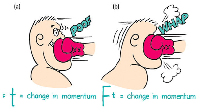 Figure 2 Figure 2. The momentum of the boxer is affected by the impulse of an oncoming punch. 